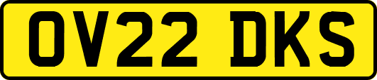 OV22DKS