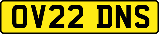 OV22DNS