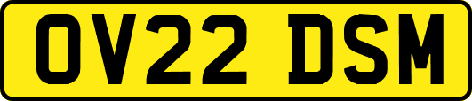 OV22DSM
