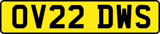 OV22DWS