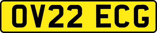 OV22ECG