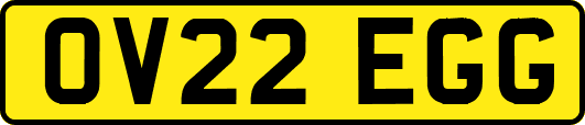 OV22EGG
