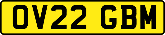 OV22GBM