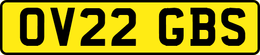 OV22GBS