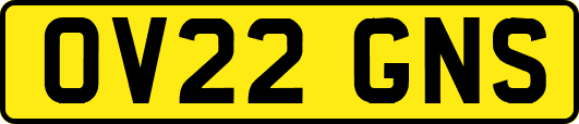 OV22GNS