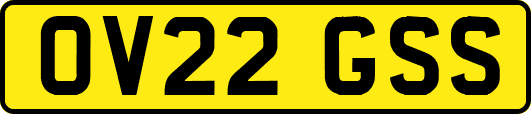 OV22GSS