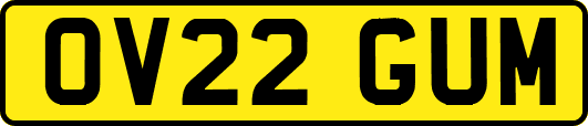 OV22GUM