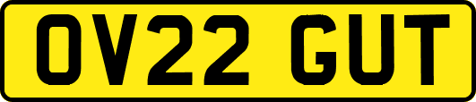 OV22GUT