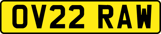 OV22RAW
