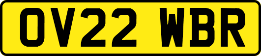 OV22WBR