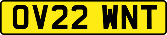 OV22WNT