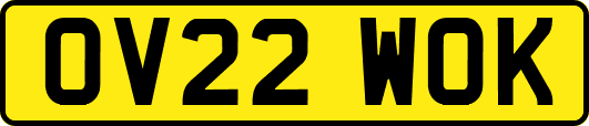 OV22WOK