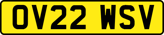 OV22WSV