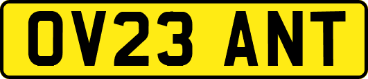 OV23ANT