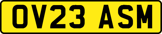 OV23ASM