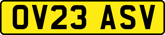 OV23ASV