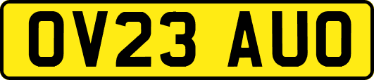 OV23AUO