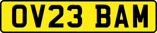 OV23BAM