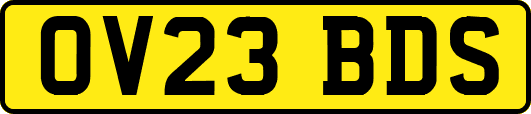 OV23BDS