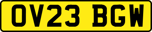 OV23BGW