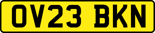 OV23BKN