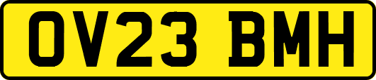 OV23BMH