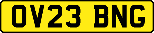 OV23BNG