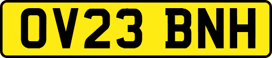 OV23BNH
