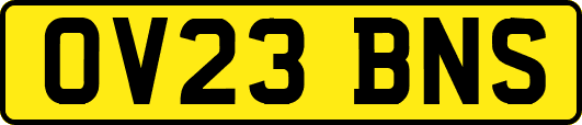 OV23BNS
