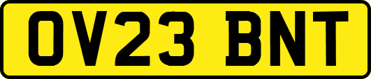 OV23BNT