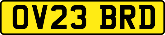 OV23BRD