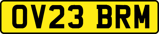 OV23BRM