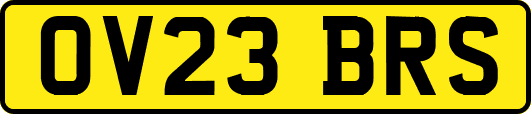 OV23BRS
