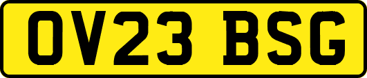 OV23BSG