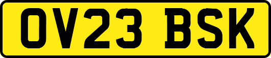 OV23BSK