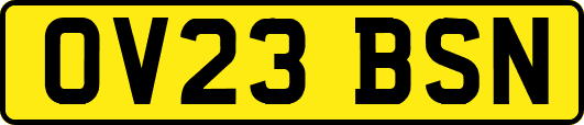 OV23BSN