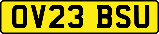 OV23BSU