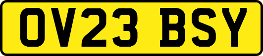 OV23BSY