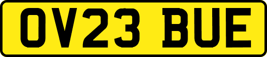 OV23BUE