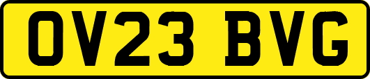 OV23BVG
