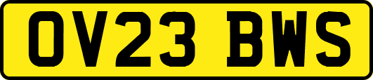 OV23BWS