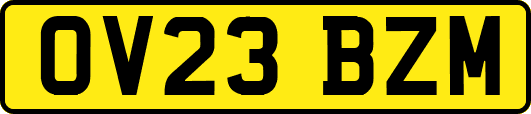 OV23BZM