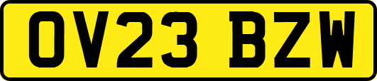 OV23BZW