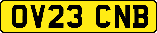 OV23CNB
