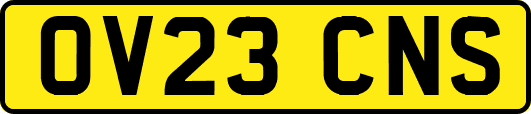 OV23CNS