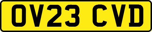 OV23CVD