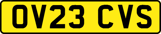 OV23CVS