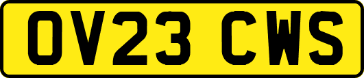 OV23CWS
