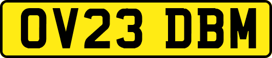 OV23DBM