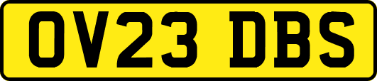 OV23DBS